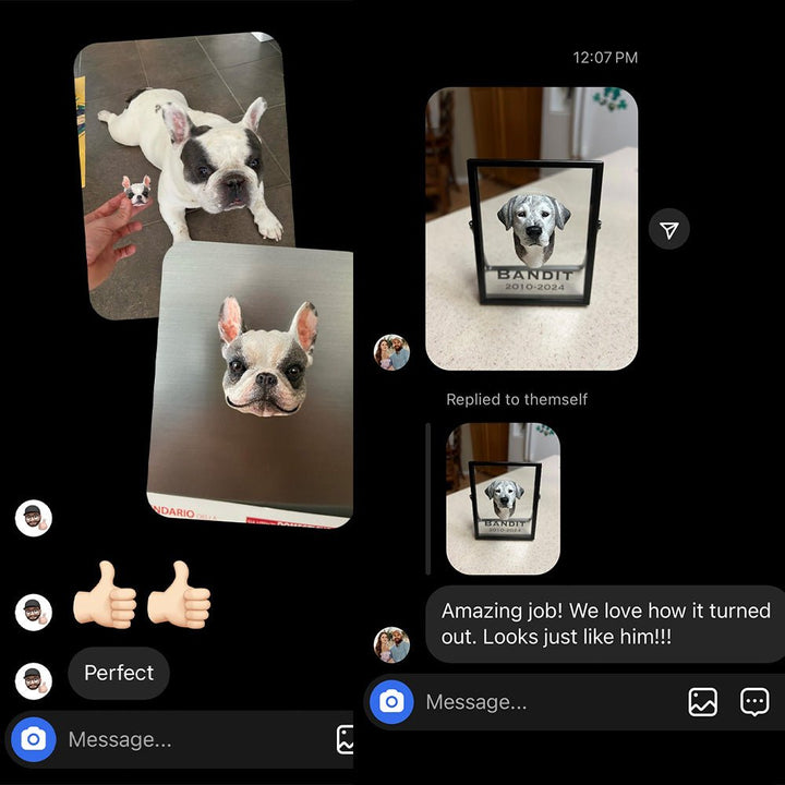Custom - Engraved Magnetic Pet Figurine™ - PetPalsDIY