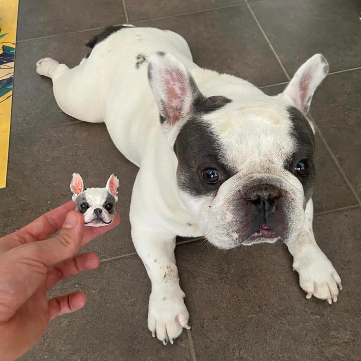 Custom - Engraved Pet Figurine™ - PetPalsDIY