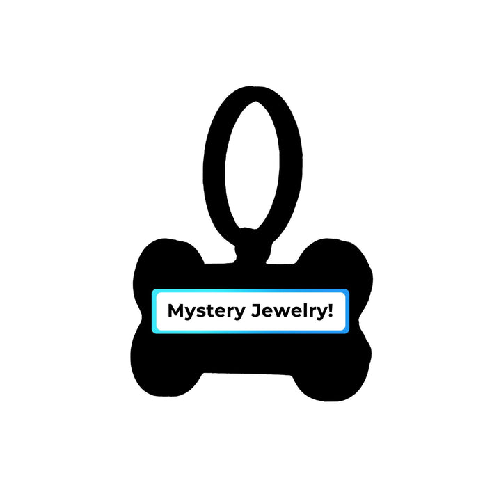 Mystery Jewelry - PetPalsDIY