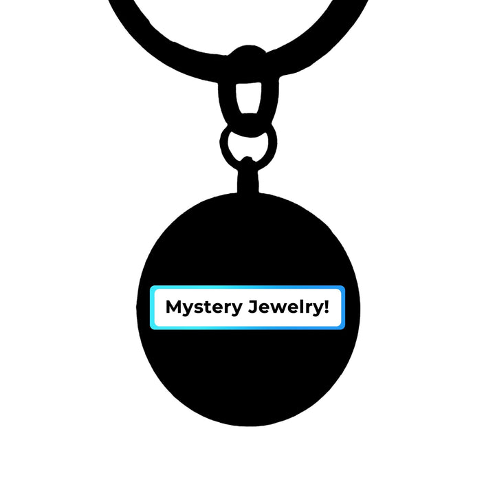 Mystery Jewelry - PetPalsDIY
