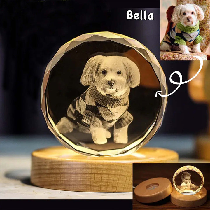 Personalized Laser-Engraved 3D Pet Photo Crystal Heart - PetPalsDIY