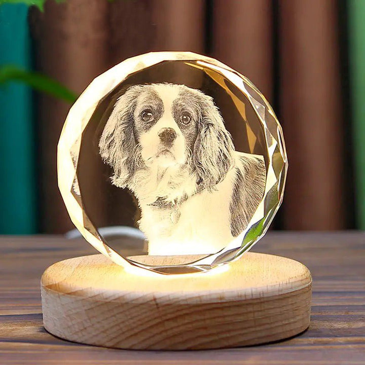 Personalized Laser-Engraved 3D Pet Photo Crystal Heart - PetPalsDIY