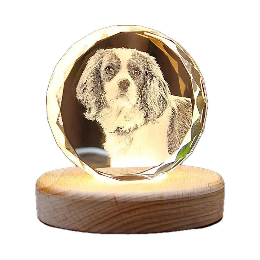 Personalized Laser-Engraved 3D Pet Photo Crystal Heart - PetPalsDIY