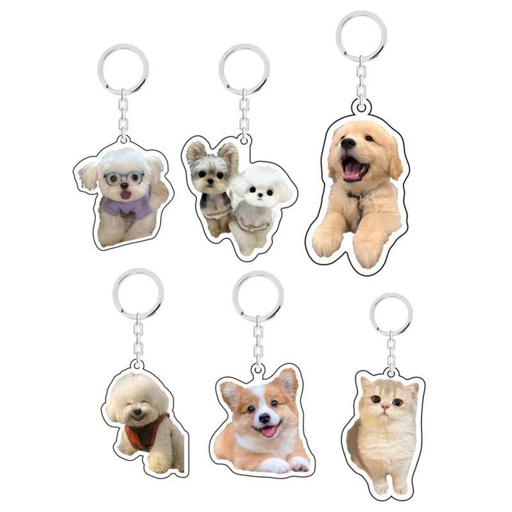 Personalized Pet Acrylic Keychain™ - PetPalsDIY