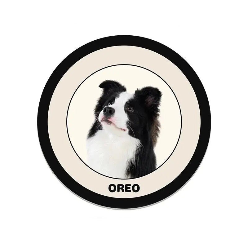 Personalized Pet Portrait Rug - PetPalsDIY