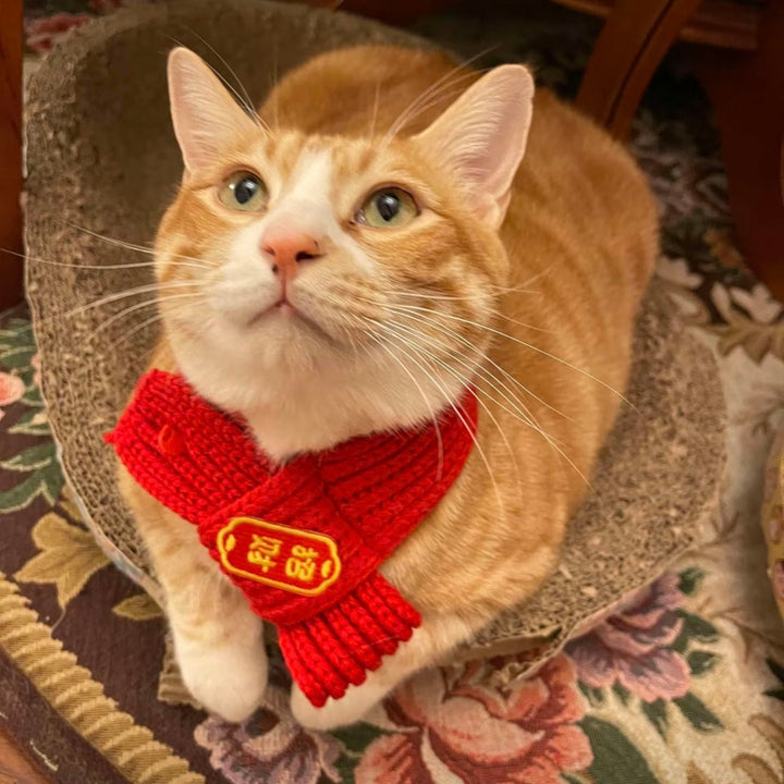 2025 Lunar New Year Pet Knitted Scarf - PetPalsDIY