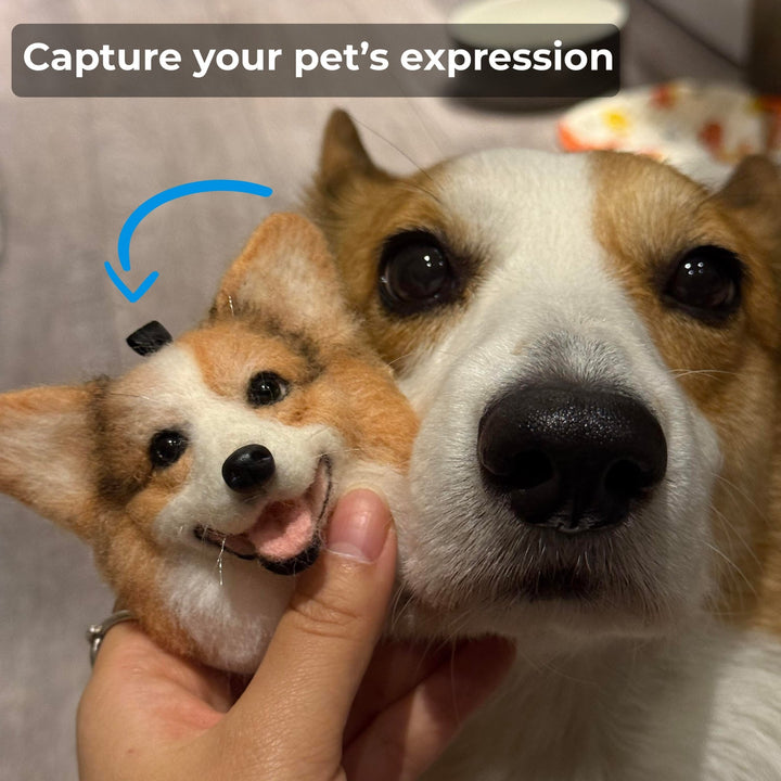 Custom Handmade Wool Felt Pet Head Portrait - PetPalsDIY