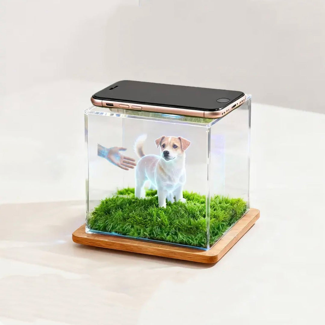 Custom Pet Holographic Memorial Box – DIY Pet Digital Shrine - PetPalsDIY