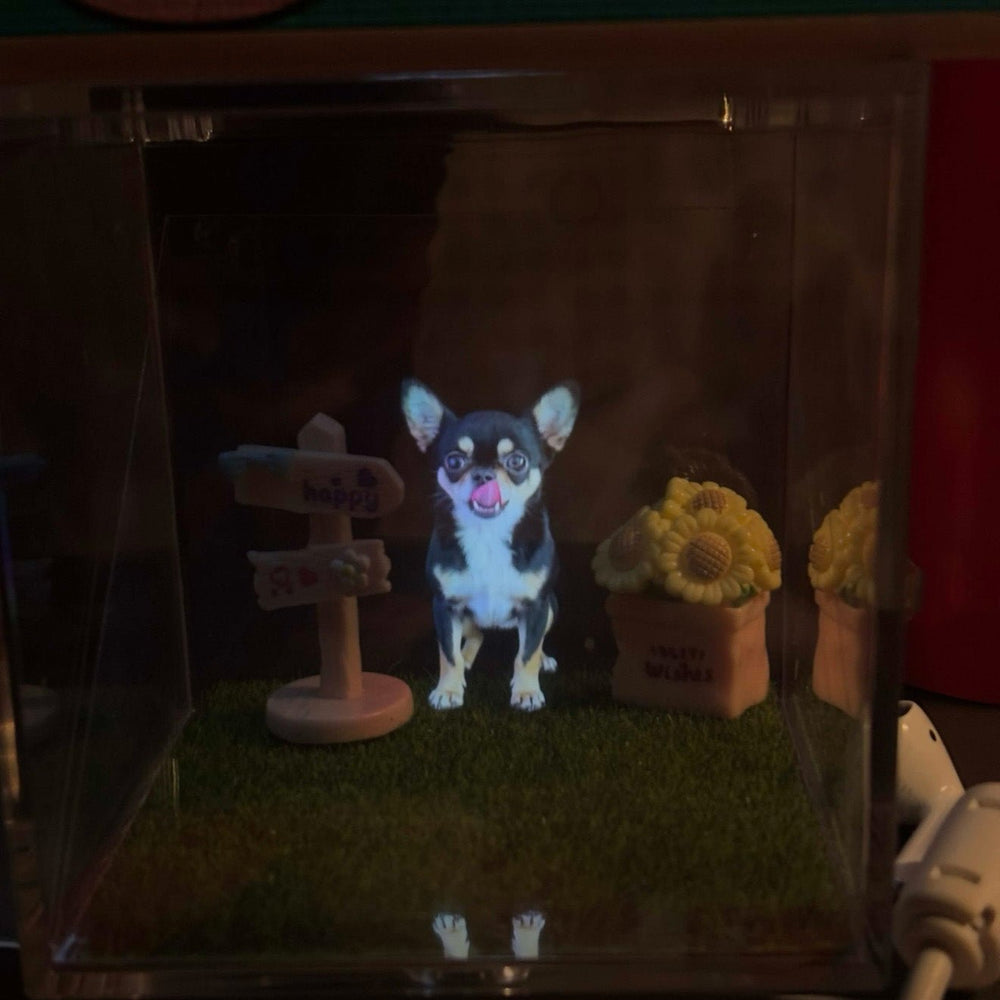 Custom Pet Holographic Memorial Box – DIY Pet Digital Shrine - PetPalsDIY