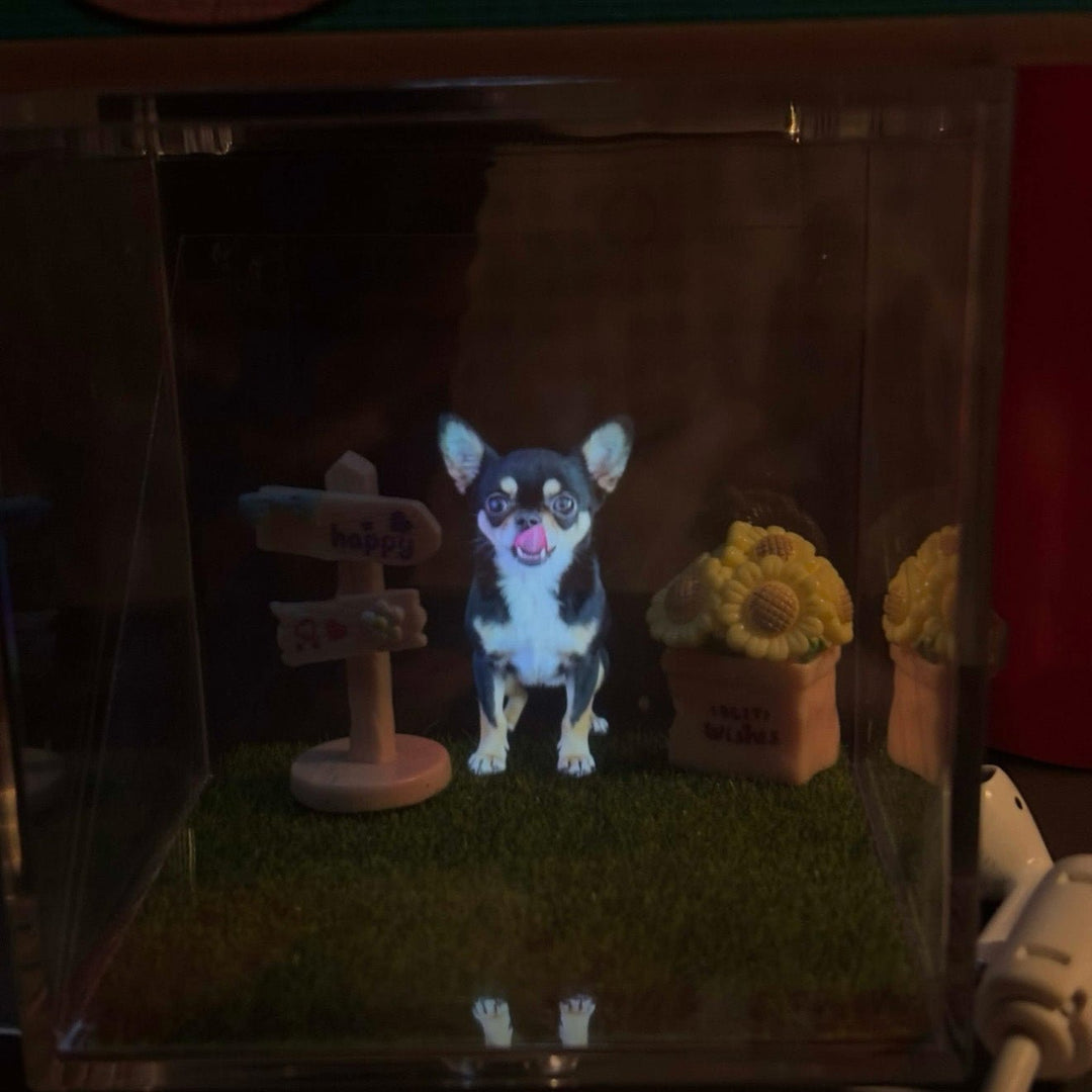 Custom Pet Holographic Memorial Box – DIY Pet Digital Shrine - PetPalsDIY