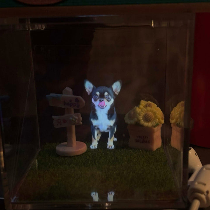 Custom Pet Holographic Memorial Box – DIY Pet Digital Shrine - PetPalsDIY
