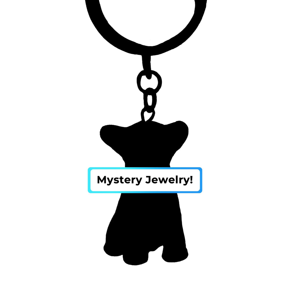 Mystery Jewelry - PetPalsDIY