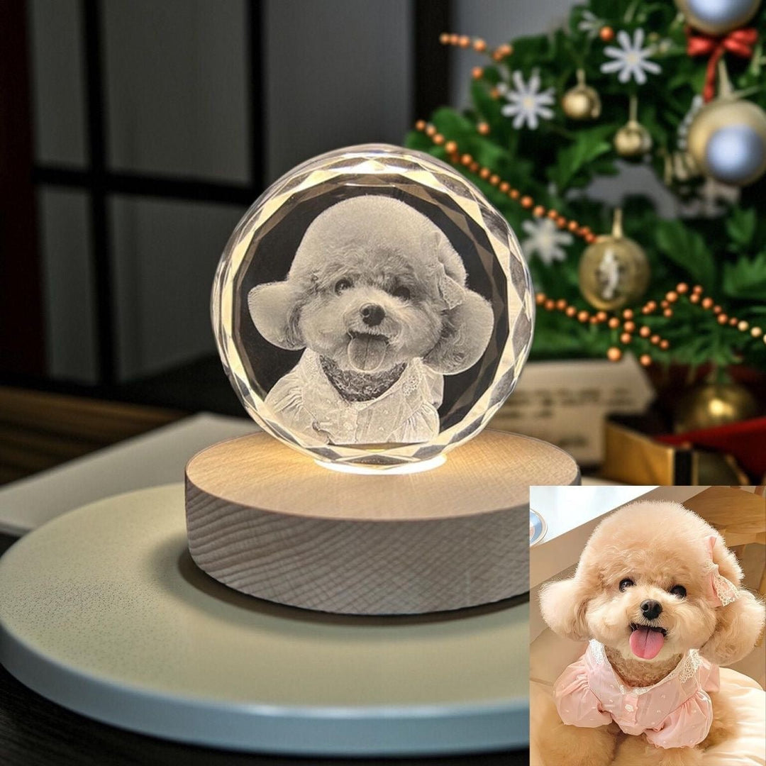 Personalized 3D Laser - Engraved Pet Photo Memorial Crystal™ - PetPalsDIY