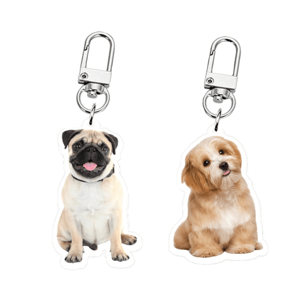 Personalized Pet Acrylic Keychain™ - PetPalsDIY