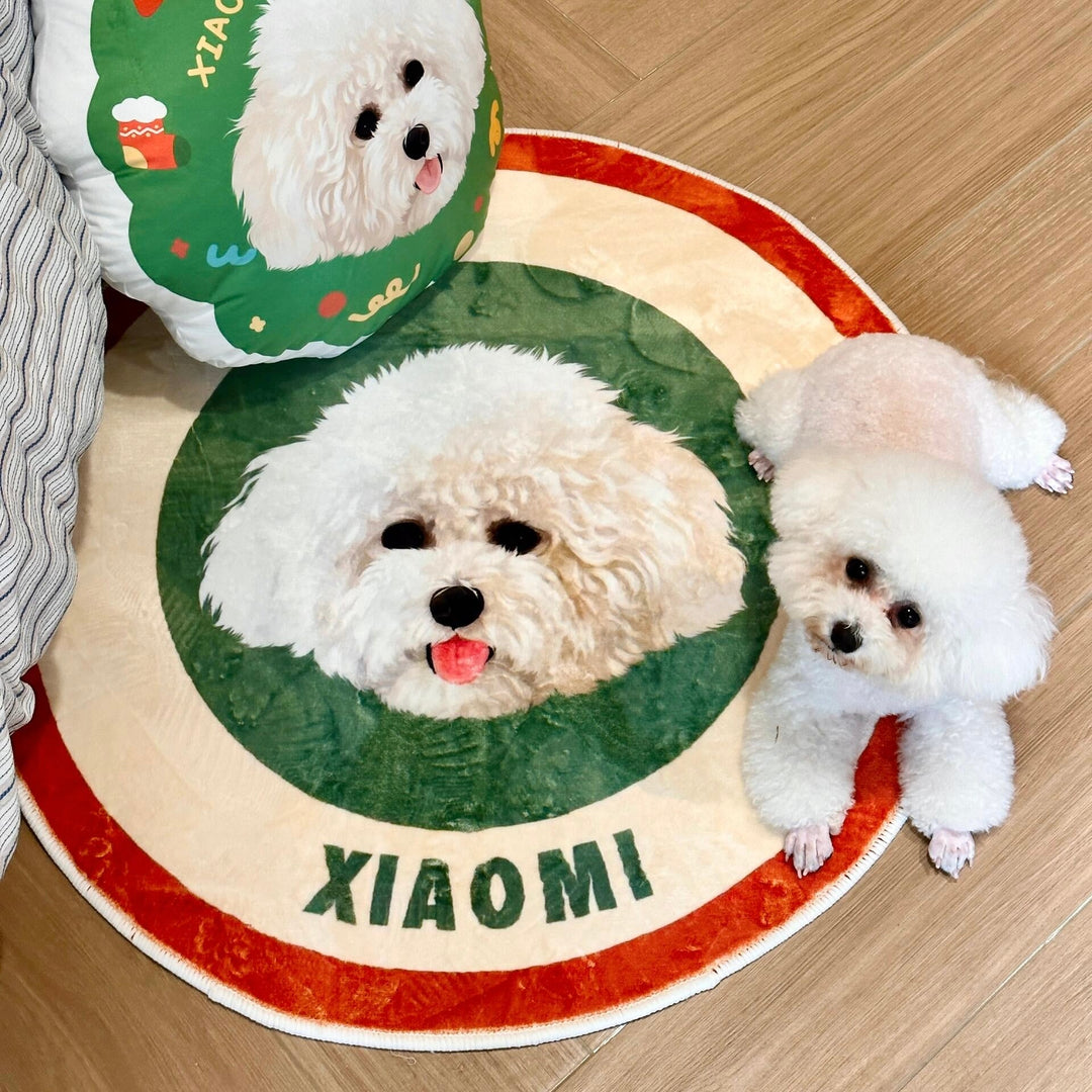 Personalized Pet Portrait Rug - PetPalsDIY