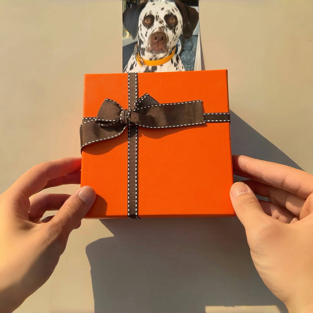 Vibrant Orange Gift Box - PetPalsDIY